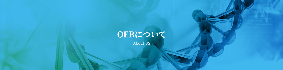 OEBについて